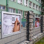 DSC02640.jpg